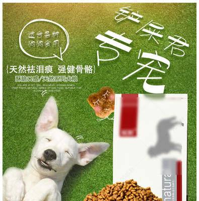 赛博狂野 未来武装宠物装备细节解析
