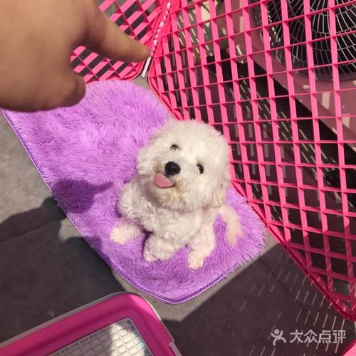 one宠物用品平价超市
